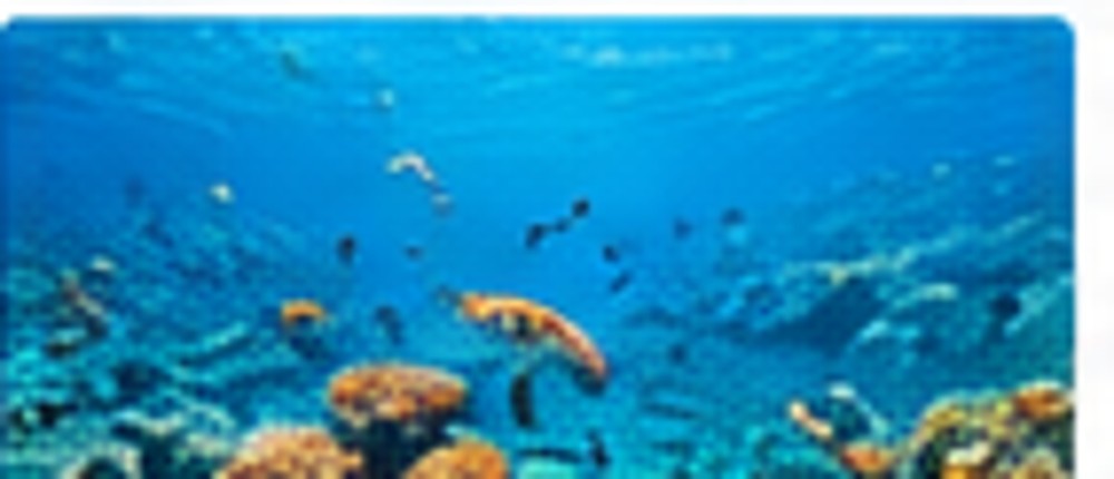 Great Barrier Reef