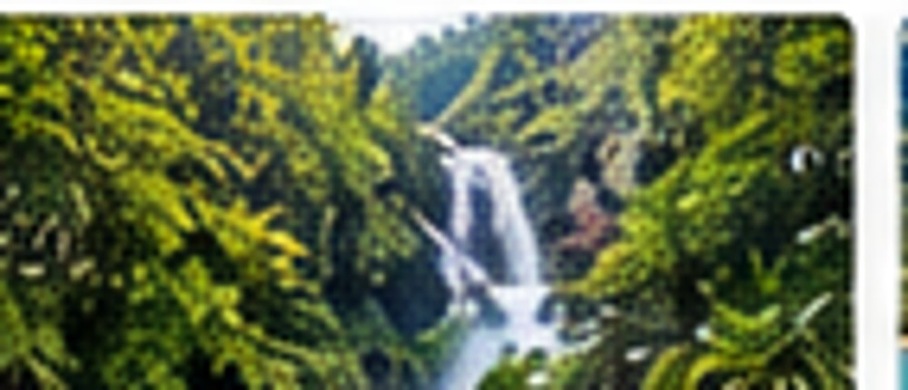 Tropical Queensland