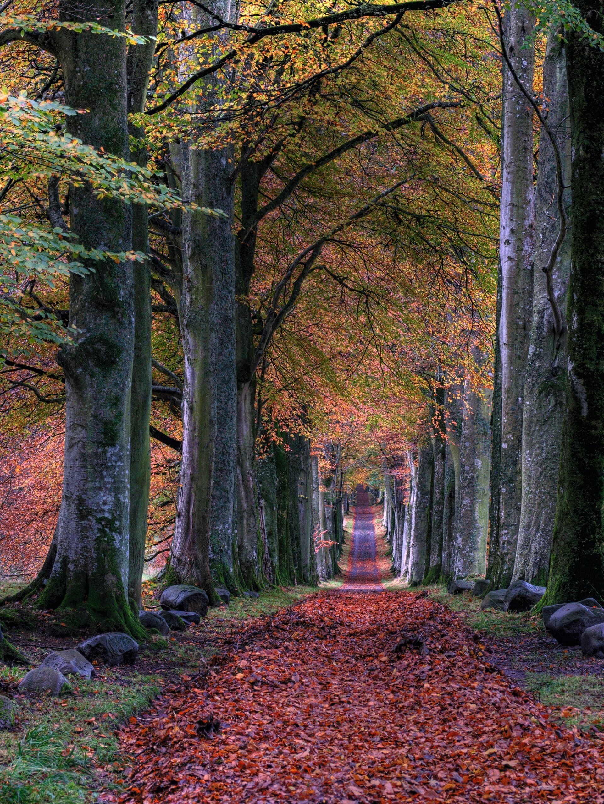 Discover 6 Hidden Gems in New England to Explore This Autumn Discover 6 Hidden Gems in New England to Explore This Autumn