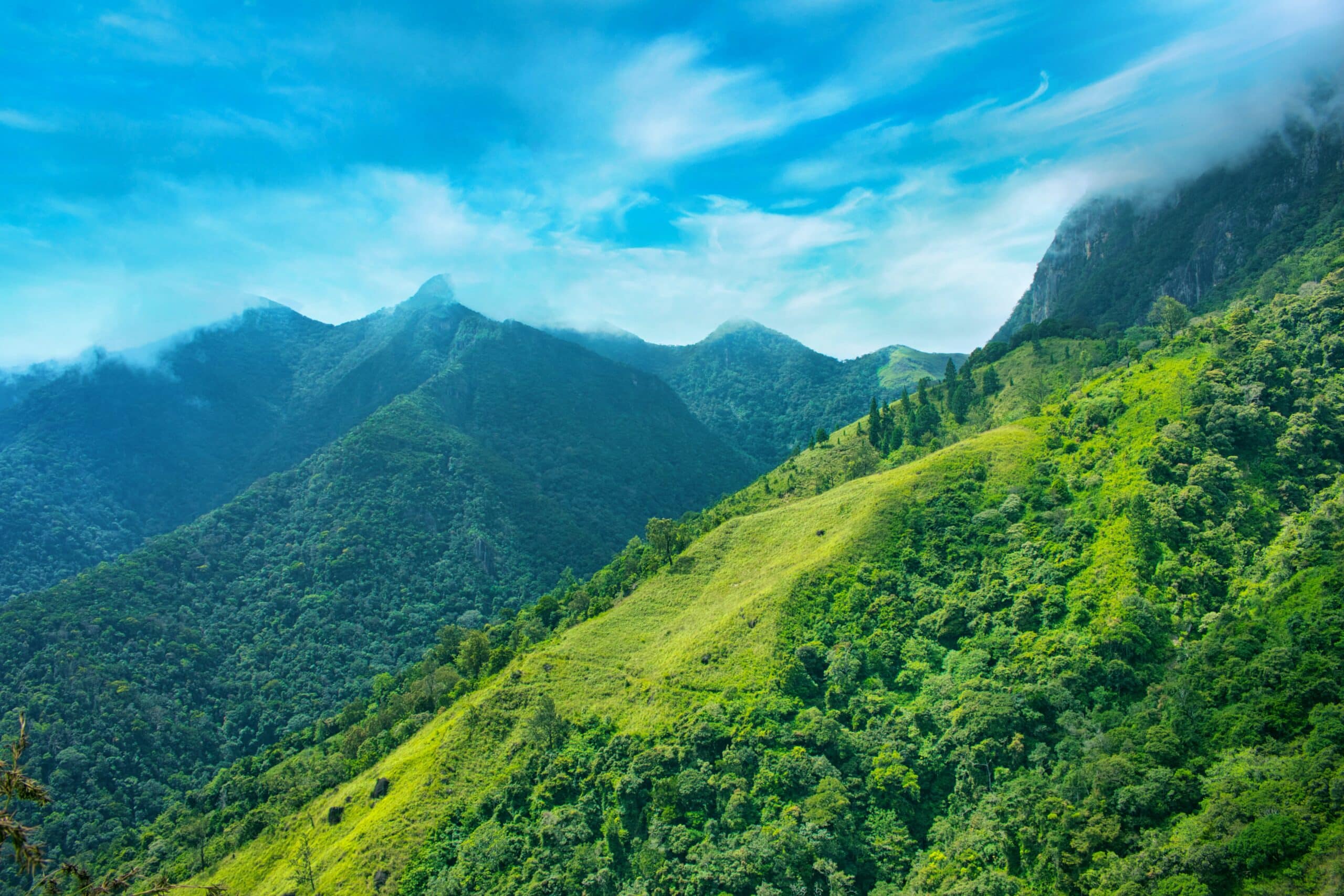 Planning an Unforgettable Sri Lankan Safari: Planning an Unforgettable Sri Lankan Safari: