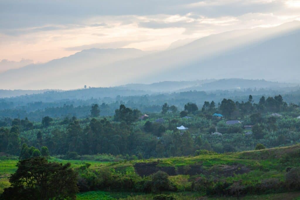 green trees on mountain during daytime