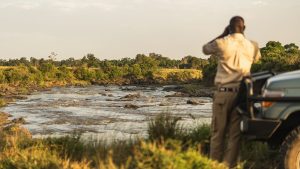 Masai Mara Migration 2026: Private River-Crossing Safaris